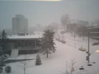 Comstock Avenue Covered in Snow