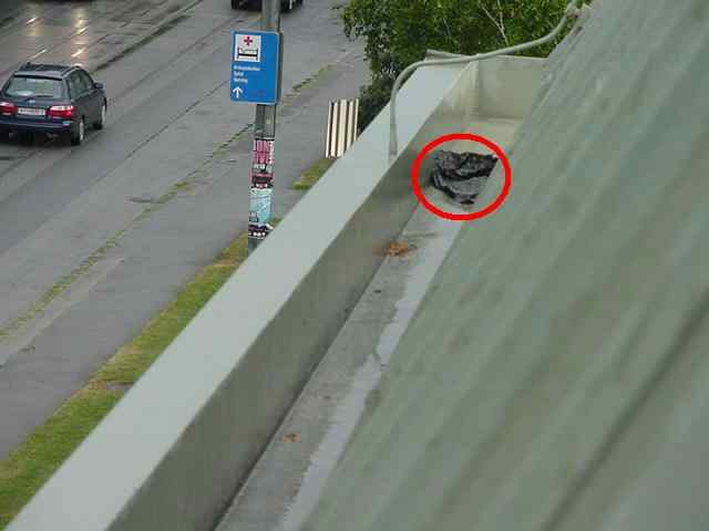 Boxer Shorts In Rain Gutter