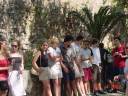 Senior Trip