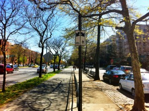 Ocean Parkway